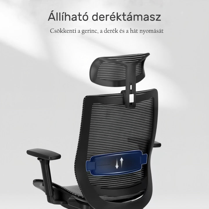 Ergonomikus teljes hálós irodai szék BS4, Állítható Fejtámlával és 3D Kartámasszal