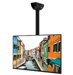 TV mennyezeti konzol 32-65 col | CM2 | 60kg