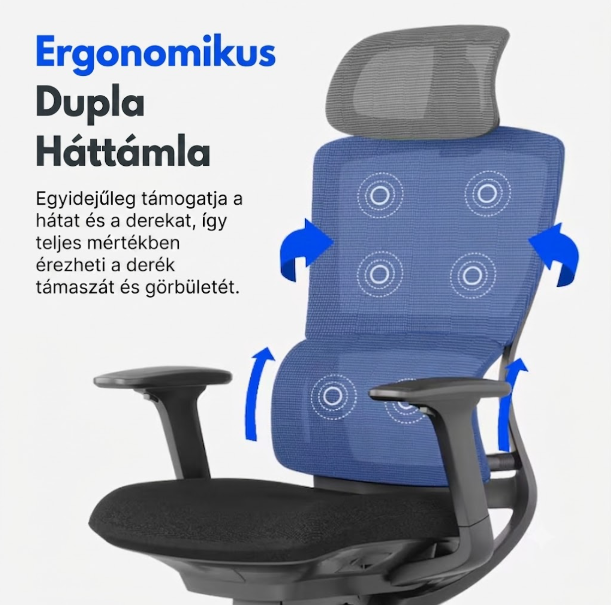 Ergonomikus irodai szék BS2, S-Alakú Kialakítás & Dupla Háttámla