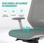 Ergonomikus Irodai Szék BS11, Állítható Magasságú Irodai Szék, Ergonomikus Szék Maximális Kényelemmel