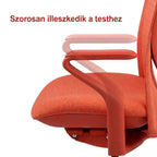 POLY Ergonomikus irodai szék BS13, Díjnyertes design és prémium kényelem