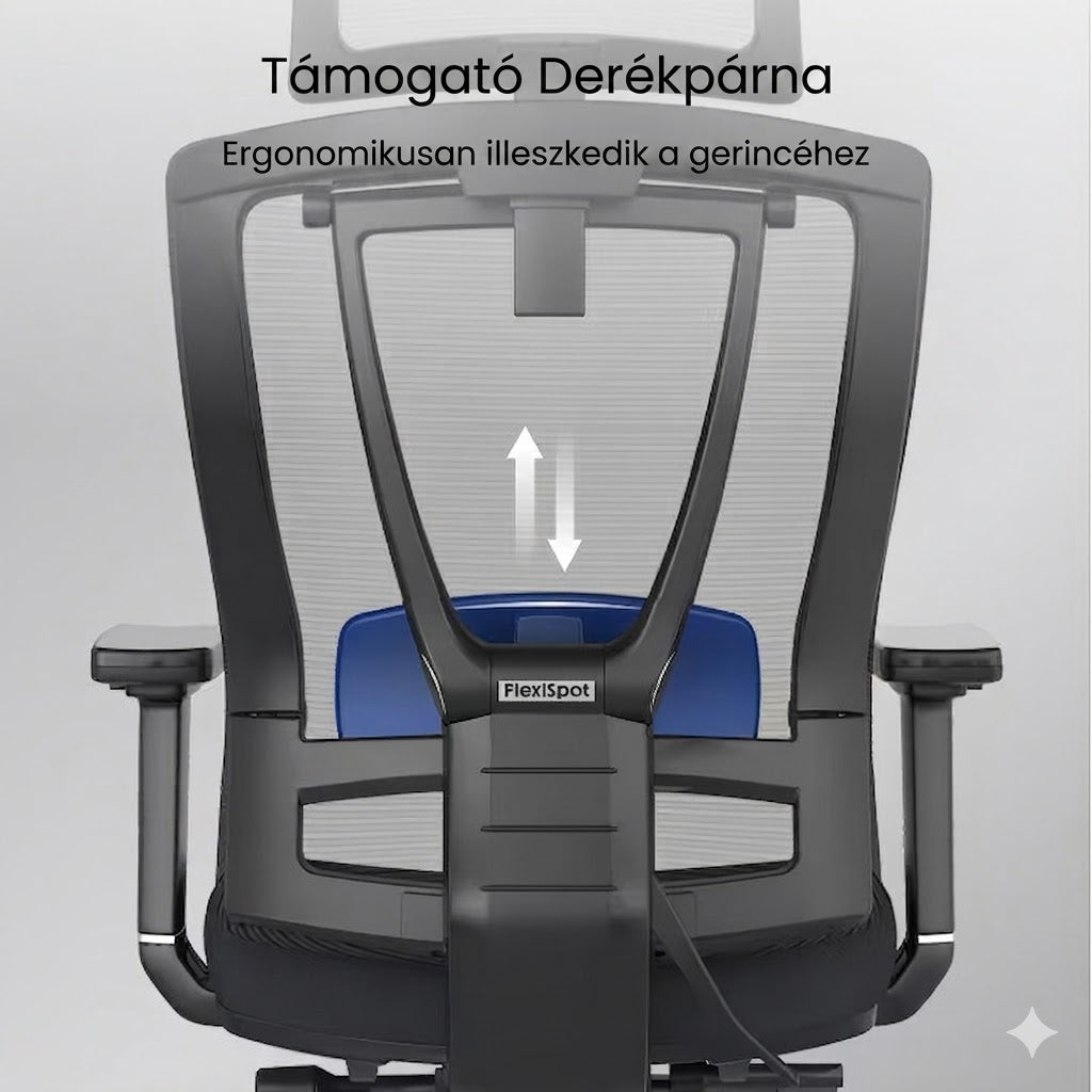 Prémium Ergonomikus Irodai Szék BS14 – Állítható Deréktámasszal