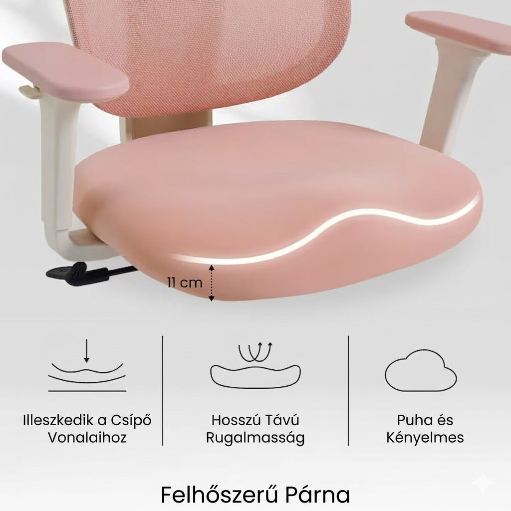 Ergonomikus irodai szék BS5, hálós háttámla, állítható karfák és modern megjelenés