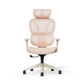 Ergonomikus irodai szék BS5, Hálós háttámla, állítható karfák és modern megjelenés