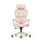 Ergonomikus irodai szék BS5, Hálós háttámla, állítható karfák és modern megjelenés