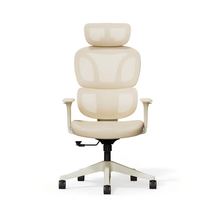 Ergonomikus irodai szék BS5, Hálós háttámla, állítható karfák és modern megjelenés