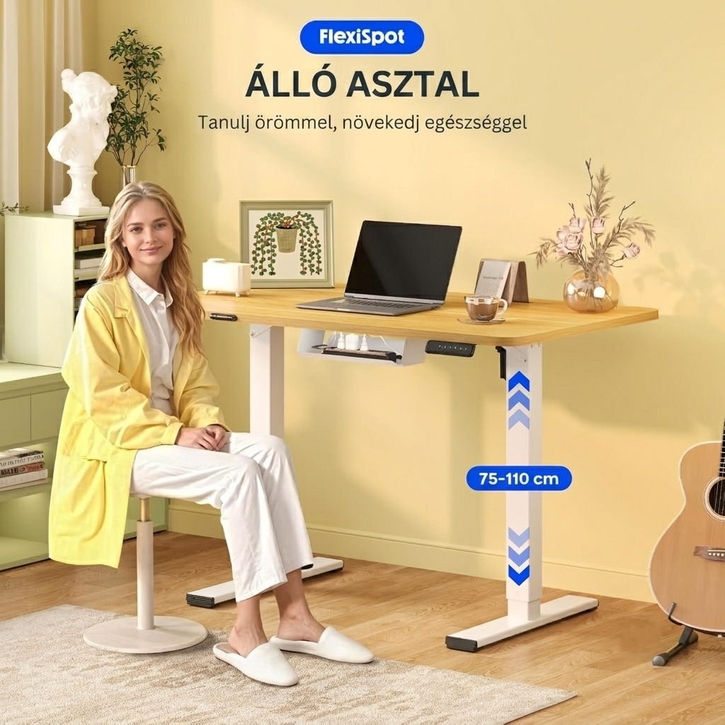 QN1 Basic elektromosan állítható magasságú íróasztal, 100 × 60 cm-es tömör asztallappal, 2 fokozatú magasságállítással.