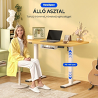 QN1 Basic elektromosan állítható magasságú íróasztal, 100 × 60 cm-es tömör asztallappal, 2 fokozatú magasságállítással.