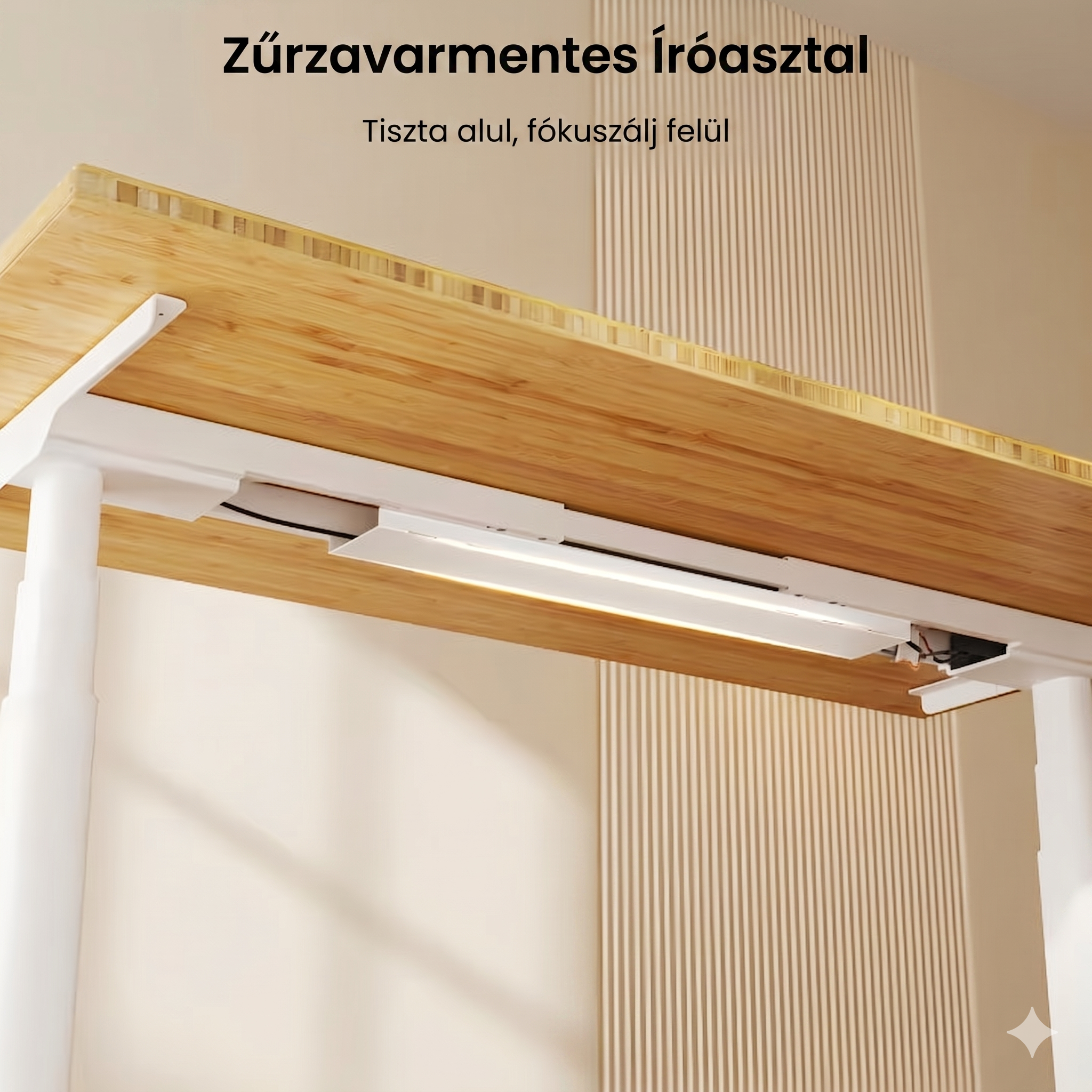 Elektromos Íróasztal ovális Láb E8, 60-125cm Állítható, Kétmotoros, 125 kg Teherbírás, LED érintőképernyő, 4 memóriahely, USB töltőport