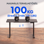 FLEXISPOT E6 - Kétmotoros Állóasztal Láb, 100 kg Teherbírás, 3 fokozatban Magasság Állítható Elektromos Íróasztal láb