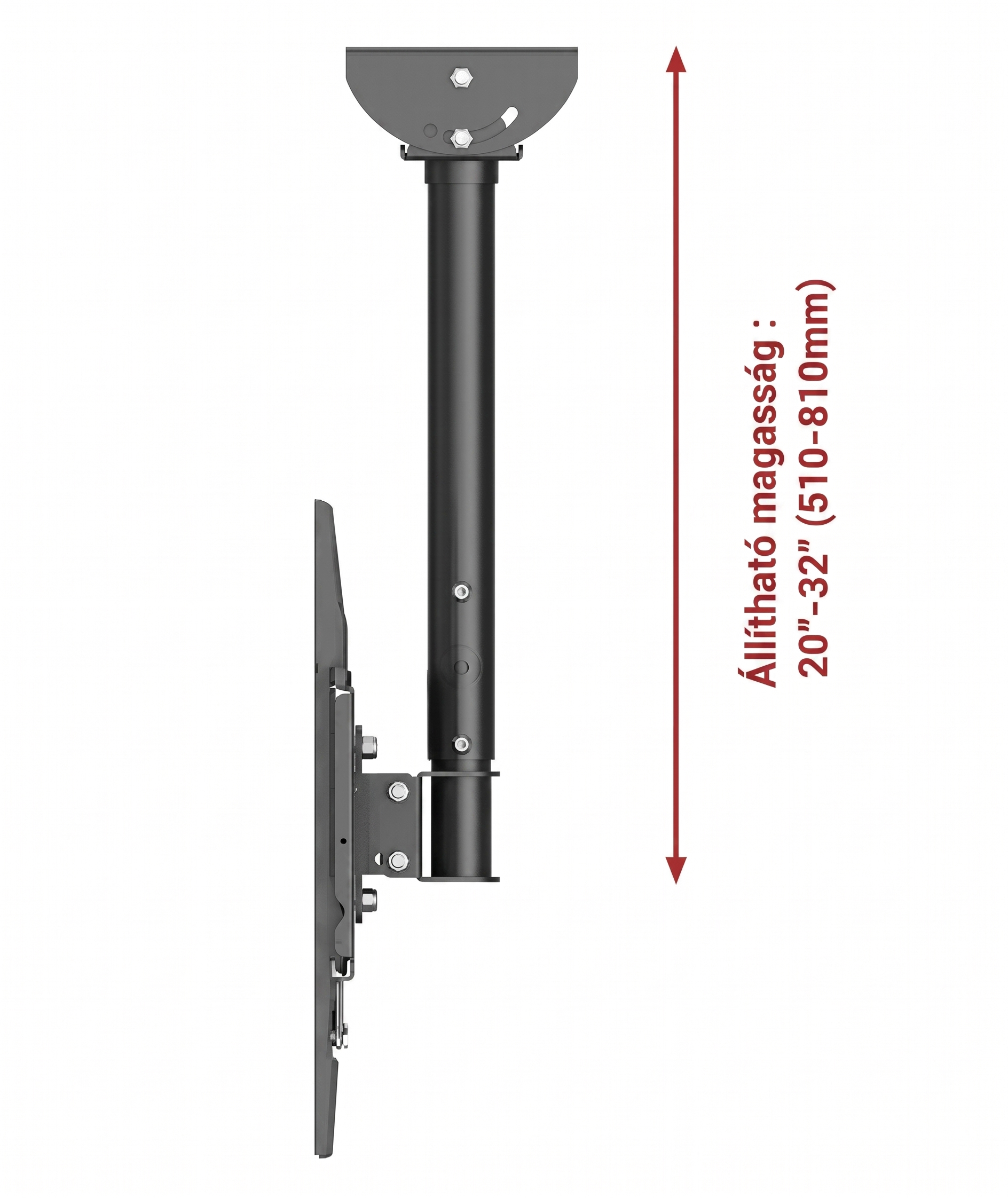TV mennyezeti konzol 32-65 col | CM2 | 60kg
