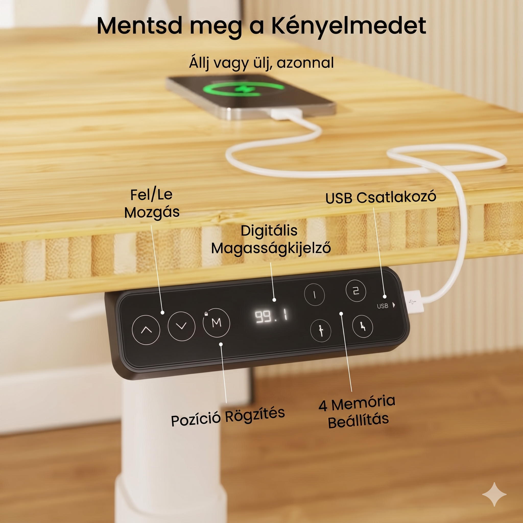 Elektromos Íróasztal ovális Láb E8, 60-125cm Állítható, Kétmotoros, 125 kg Teherbírás, LED érintőképernyő, 4 memóriahely, USB töltőport