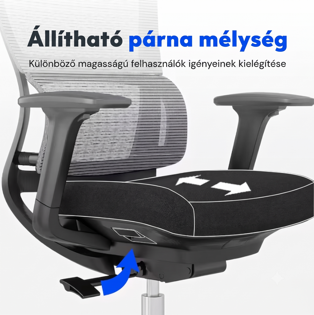 Ergonomikus irodai szék BS2, S-Alakú Kialakítás & Dupla Háttámla