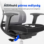 Ergonomikus irodai szék BS2, S-Alakú Kialakítás & Dupla Háttámla