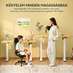 QN1 Basic elektromosan állítható magasságú íróasztal, 100 × 60 cm-es tömör asztallappal, 2 fokozatú magasságállítással.