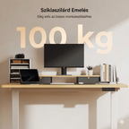 Elektromos Íróasztal Láb E5, 60-125cm Állítható, Kétmotoros, 120 kg Teherbírás, Memóriagombokkal