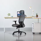 Ergonomikus irodai szék, OC3, 2D kartámasz, Hálós