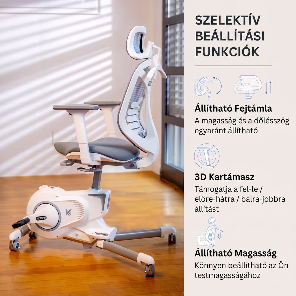 Fitnesz-szék V6, Otthoni edzőkerékpár